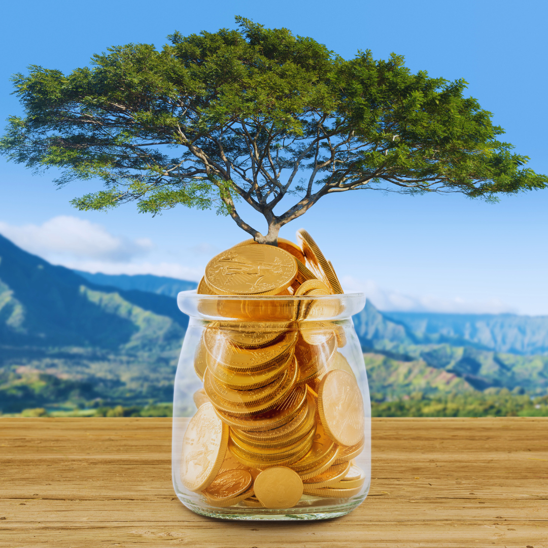 Coaching Décodage des Dons et Alignement à l’Abondance