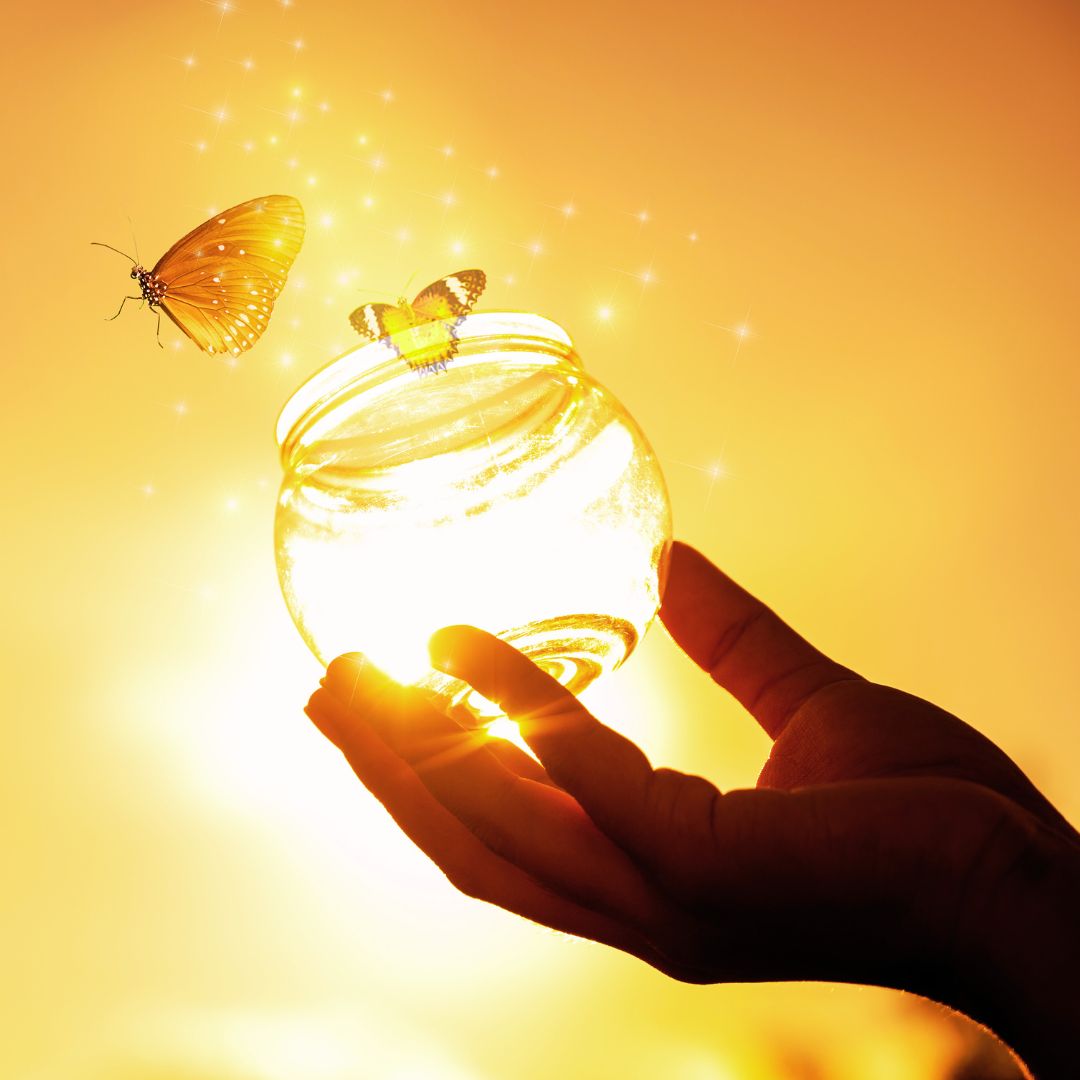 Programme d'accompagnement