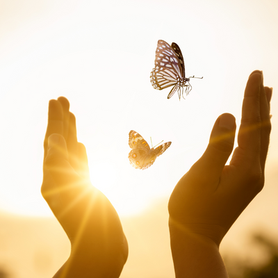 Réparation de l'Âme- Consultation ThetaHealing